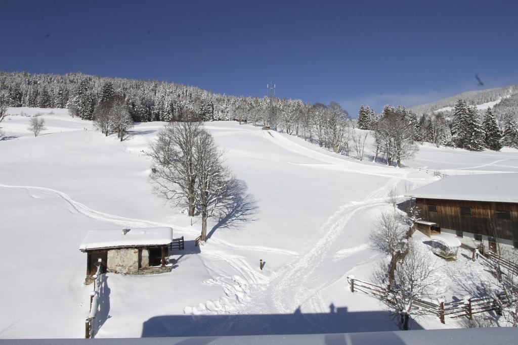 Eberharthof Apartment Saalbach-Hinterglemm Exterior photo